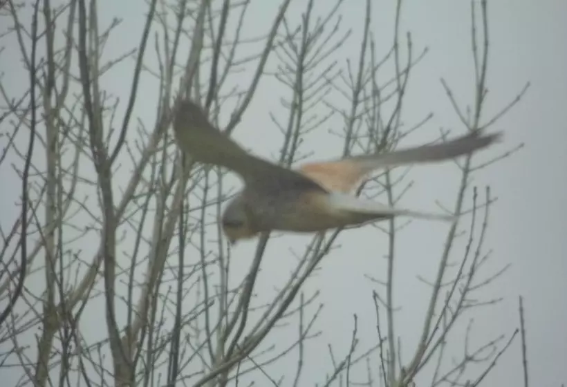 Majatalo Clerk Laithe Lodge