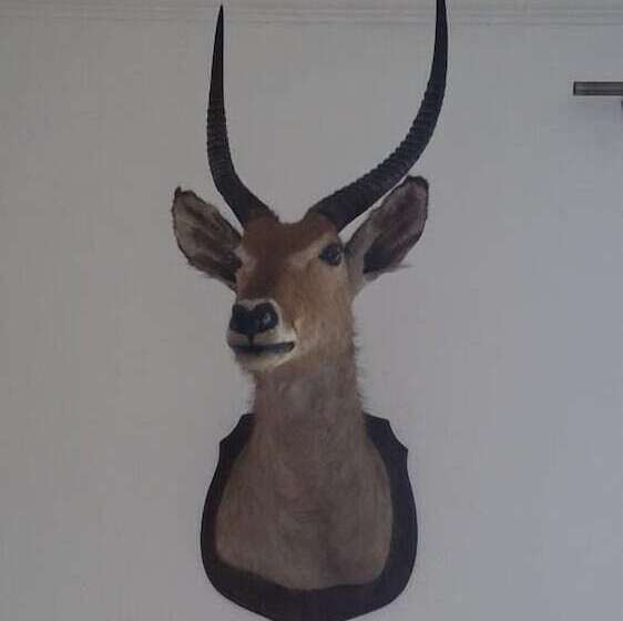 פנסיון L Obsidienne