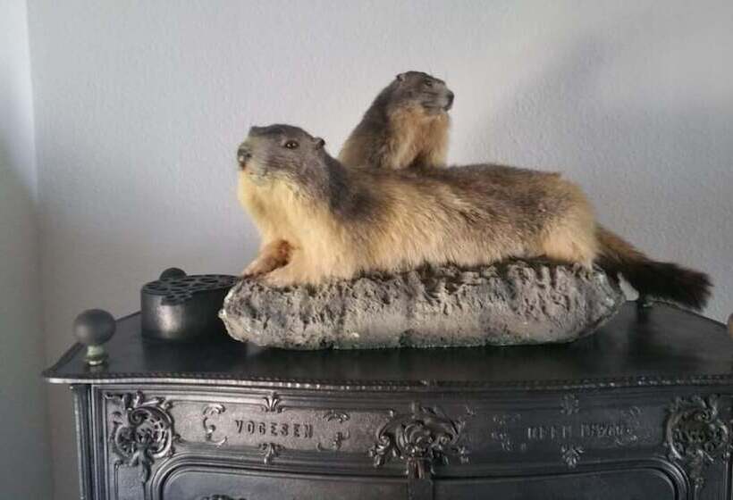 פנסיון L Obsidienne