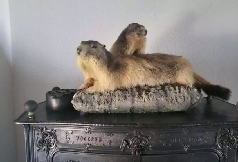 Majatalo L Obsidienne