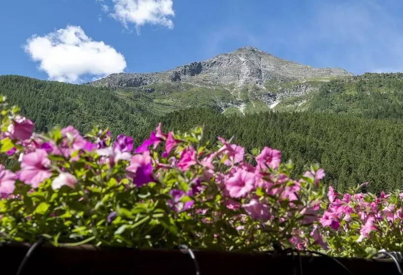 レジデンス Incanto Walser Apartments Ronco