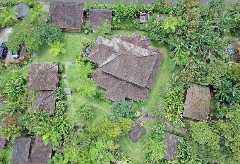 צימר Bali Mountain Retreat