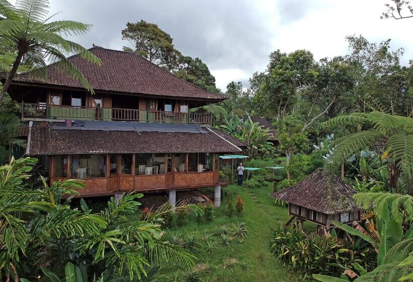 민박 Bali Mountain Retreat