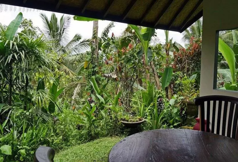 ベッドアンドブレックファースト Bali Mountain Retreat