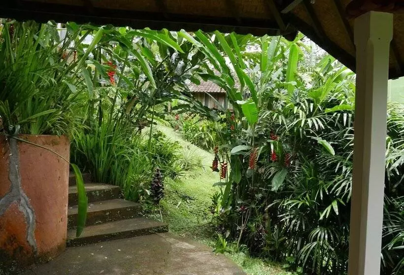 ベッドアンドブレックファースト Bali Mountain Retreat