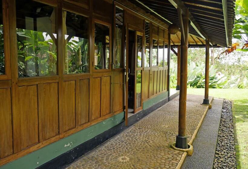 צימר Bali Mountain Retreat