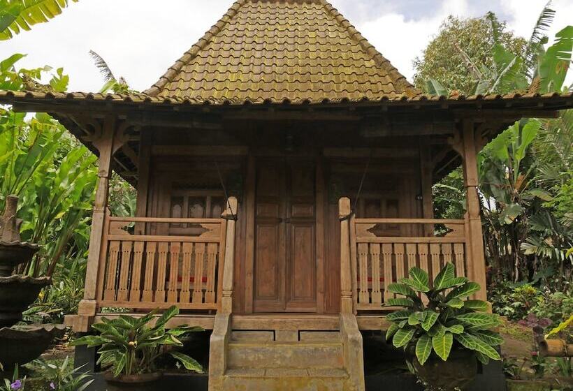 צימר Bali Mountain Retreat