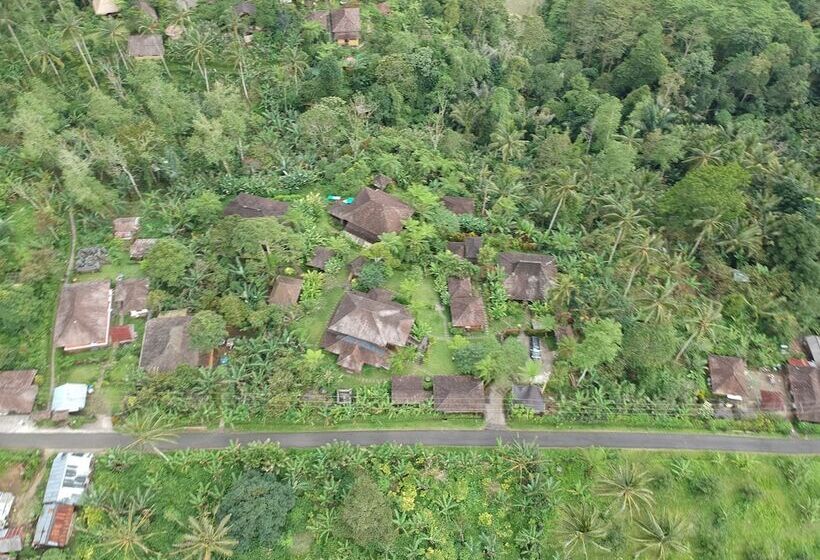 Bed and Breakfast Bali Mountain Retreat