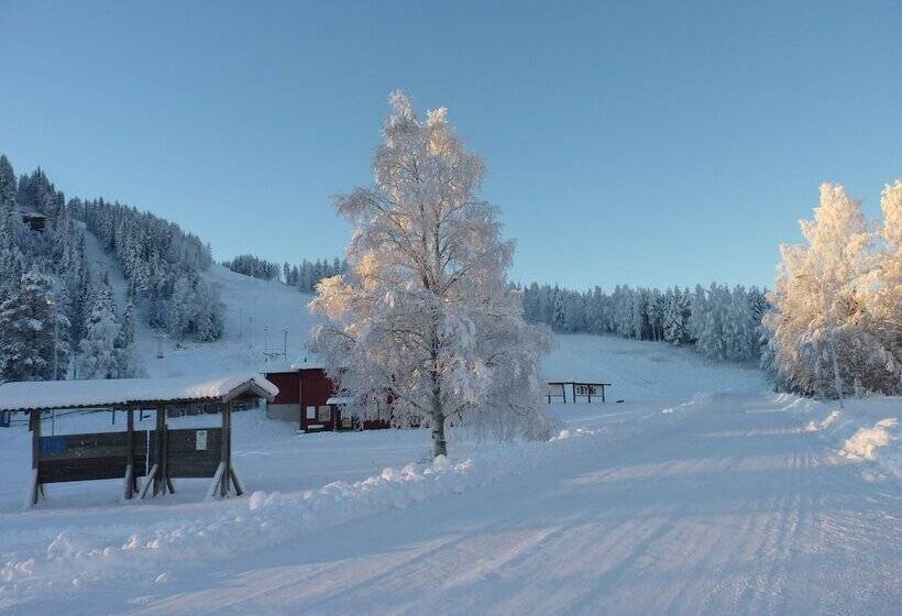 Отель Hammarstrands Camping, Stugby Och Fiske