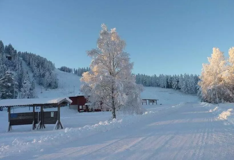 Hotelli Hammarstrands Camping, Stugby Och Fiske
