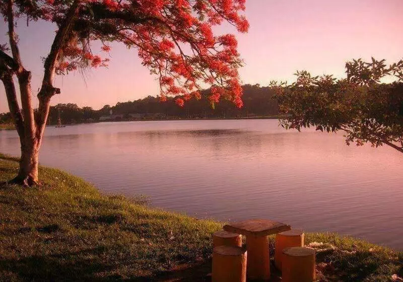 ホテル Pousada Do Bosque