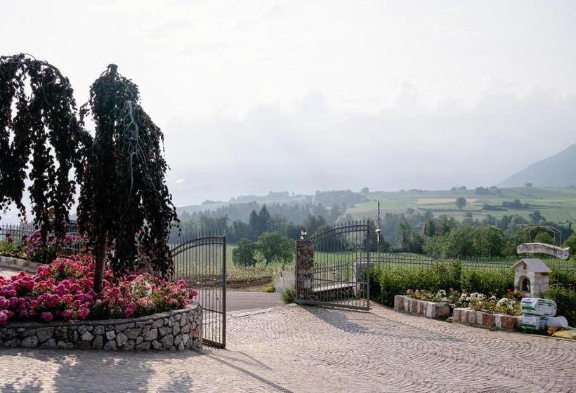 乡村酒店 Agritur Maso Alle Rose B&b E Restaurant