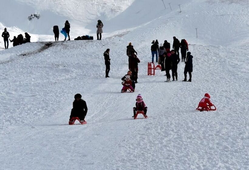 هتل Zigana Gumuskayak Yaylakent