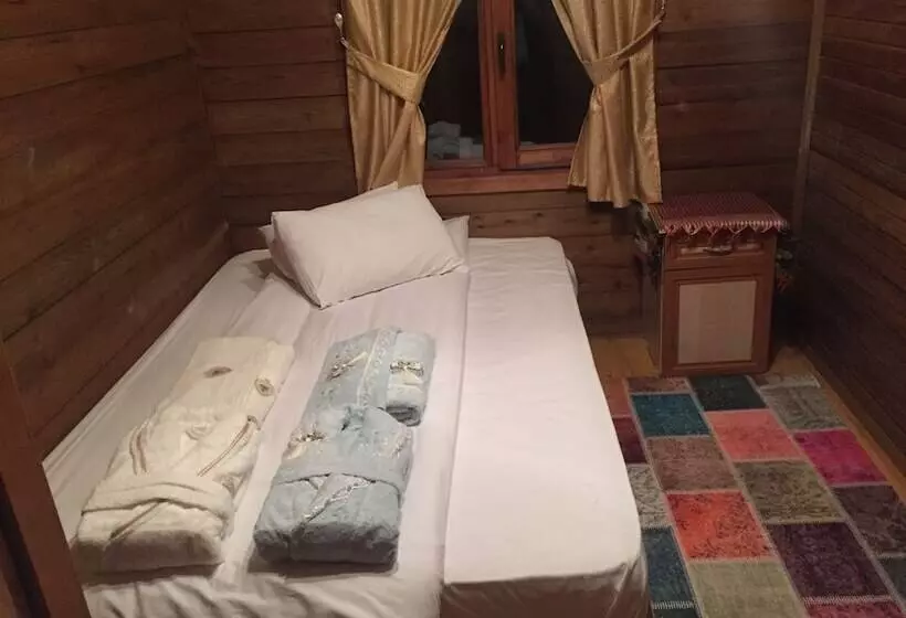 ホテル Zigana Gumuskayak Yaylakent