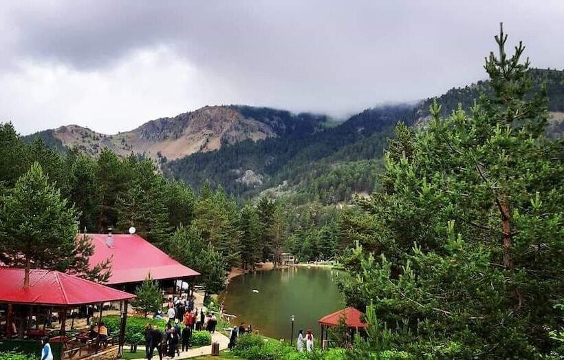 هتل Zigana Gumuskayak Yaylakent