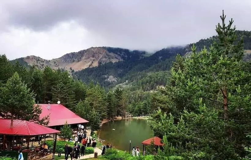 ホテル Zigana Gumuskayak Yaylakent