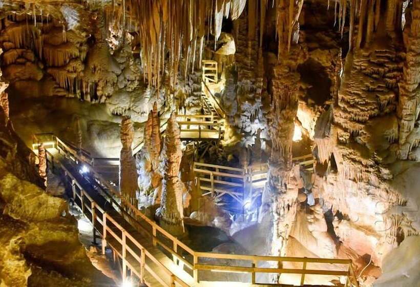 هتل Zigana Gumuskayak Yaylakent