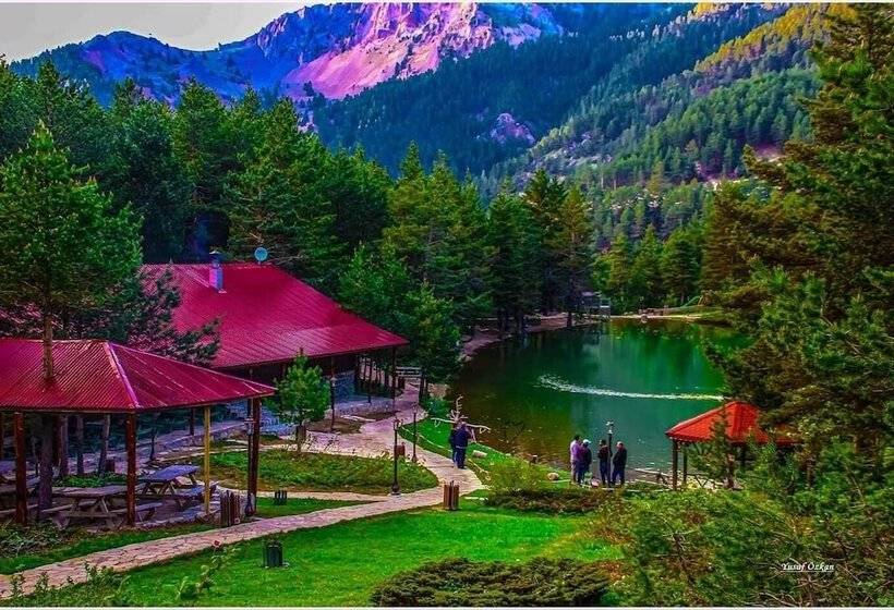 هتل Zigana Gumuskayak Yaylakent