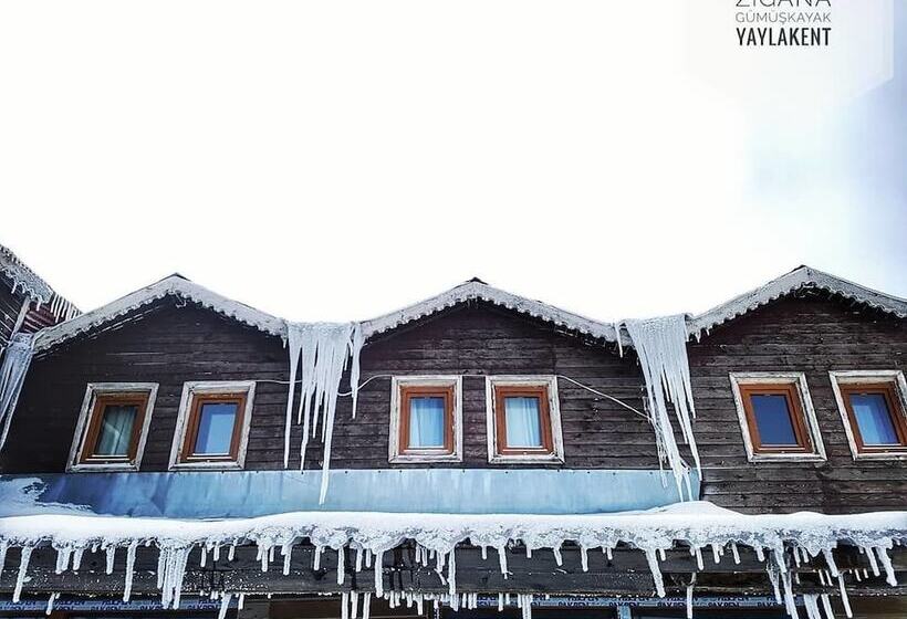 هتل Zigana Gumuskayak Yaylakent