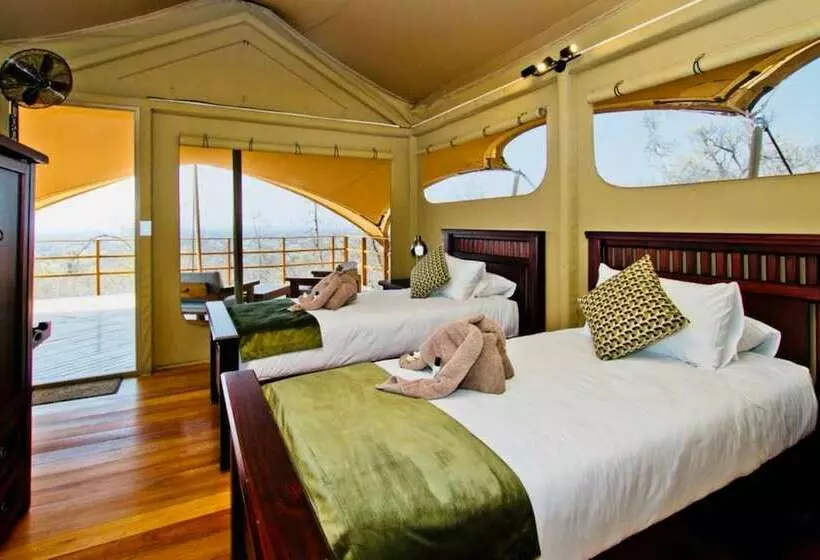ホテル Zingela Nature Reserve  Baobab Tented Camp
