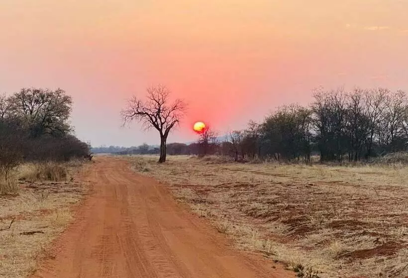 ホテル Zingela Nature Reserve  Baobab Tented Camp