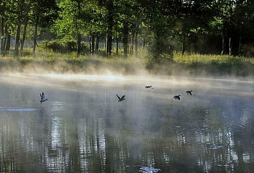 פנסיון La Frégeolière