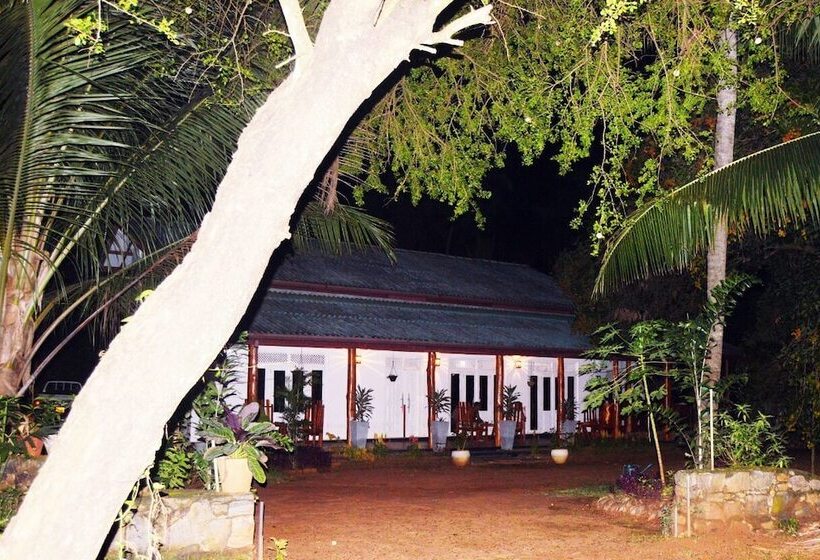 Пансион The Tree