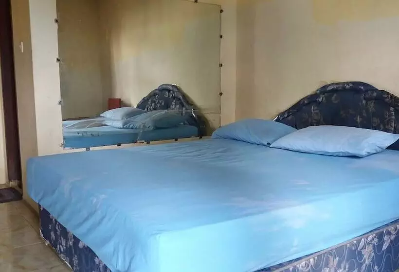 Aamiaismajoitus (B&B) Holiday Bir