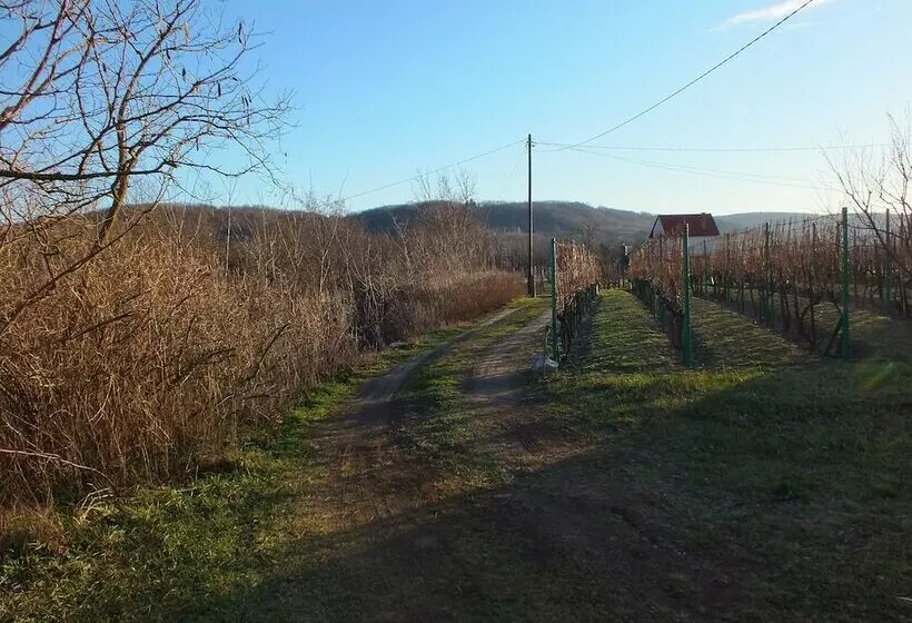 Ferienhaus Weinbergalm