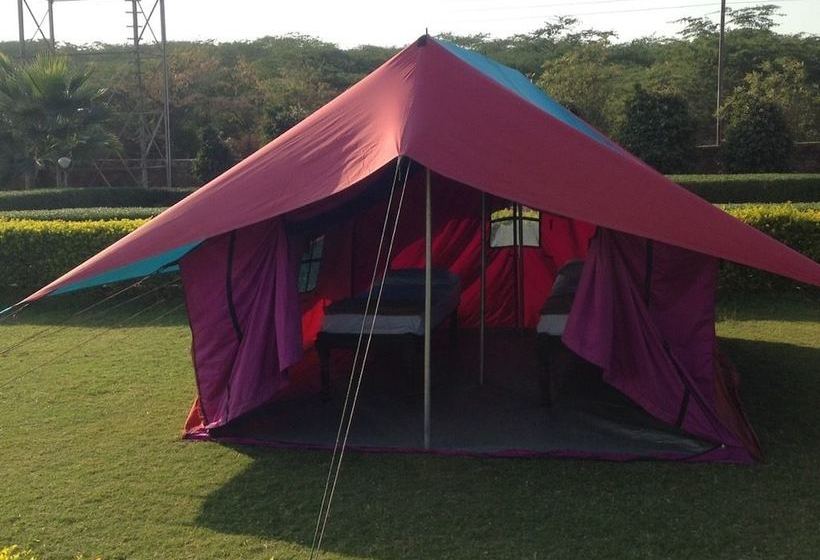 בית מלון כפרי Camp Twilight