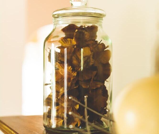 בית מלון כפרי Deruxa Cottages