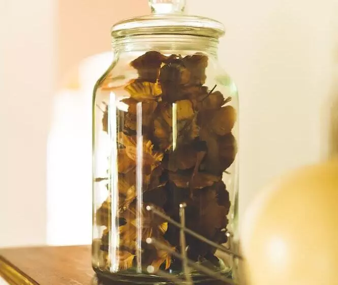 Hotelli Deruxa Cottages