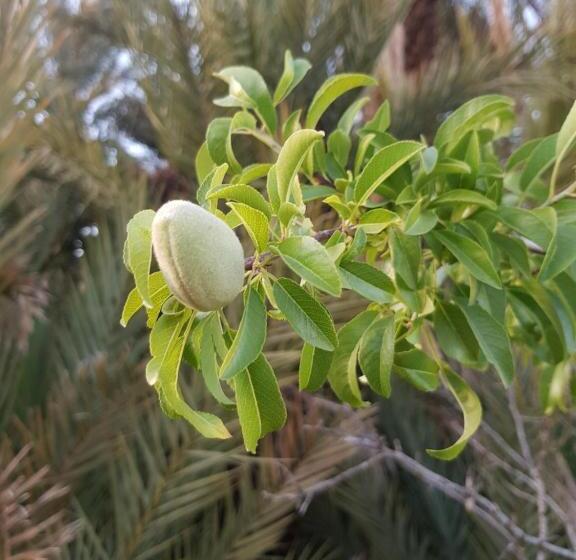 فندق Ecolodge Bivouac Des Aigles