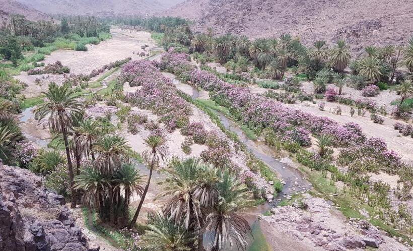 فندق Ecolodge Bivouac Des Aigles