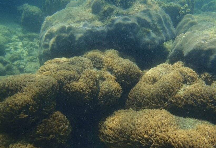 Hotel Mantakiri Island Resort Private Island