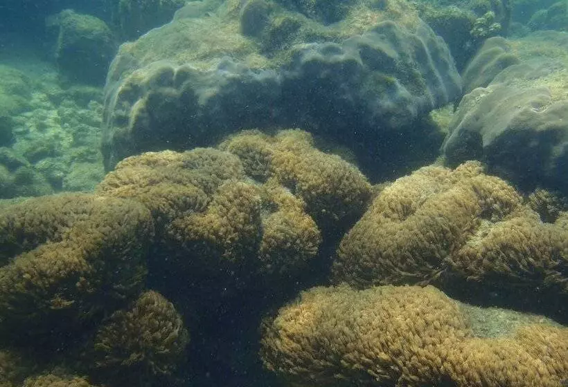 هتل Mantakiri Island Resort Private Island