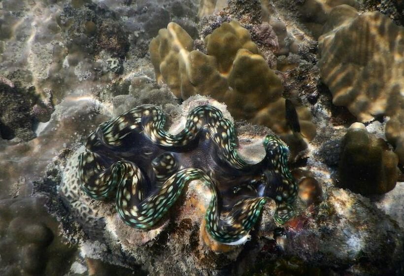 Hotel Mantakiri Island Resort Private Island