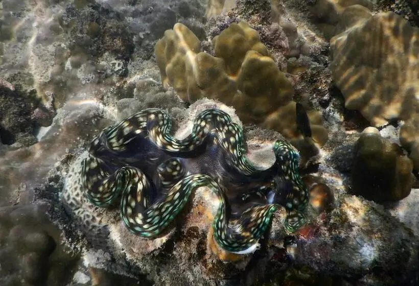 هتل Mantakiri Island Resort Private Island