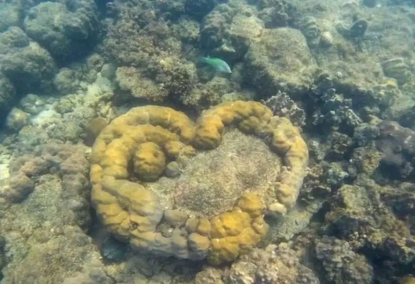 هتل Mantakiri Island Resort Private Island