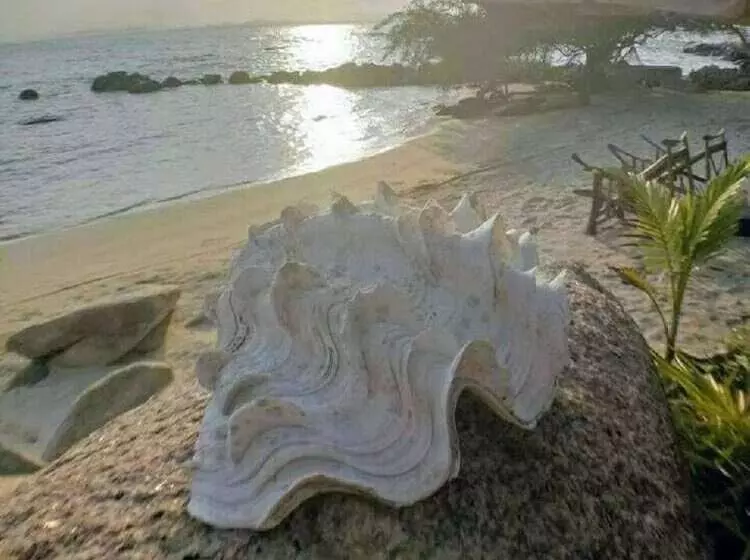 هتل Mantakiri Island Resort Private Island