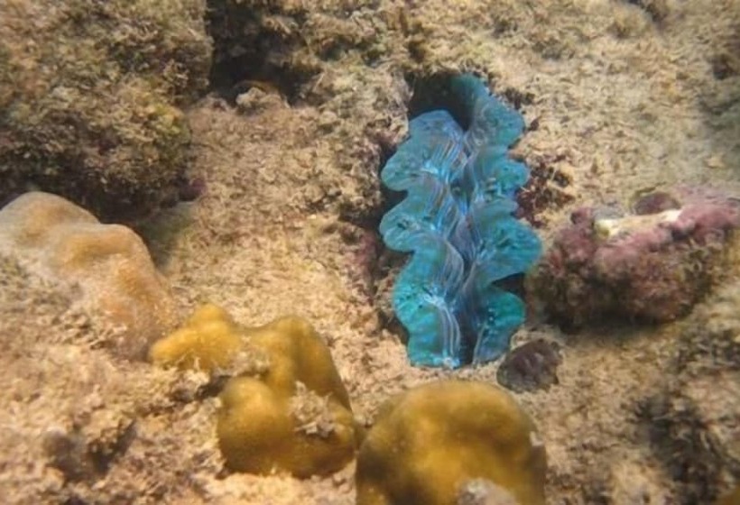 Hotel Mantakiri Island Resort Private Island