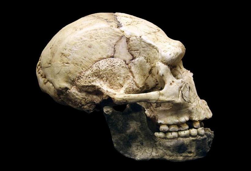 פנסיון Chambres D Hôtes Et Gîtes L Abri Sous Roche