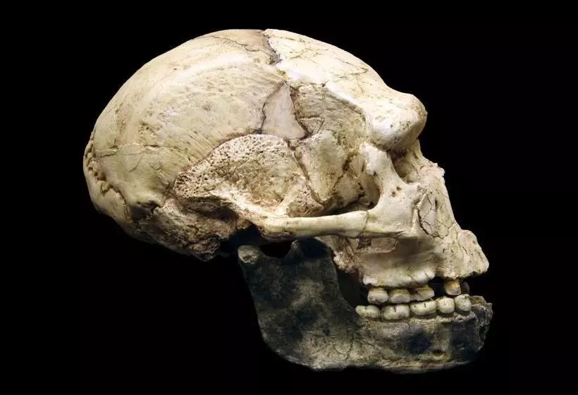 Majatalo Chambres D Hôtes Et Gîtes  L Abri Sous Roche