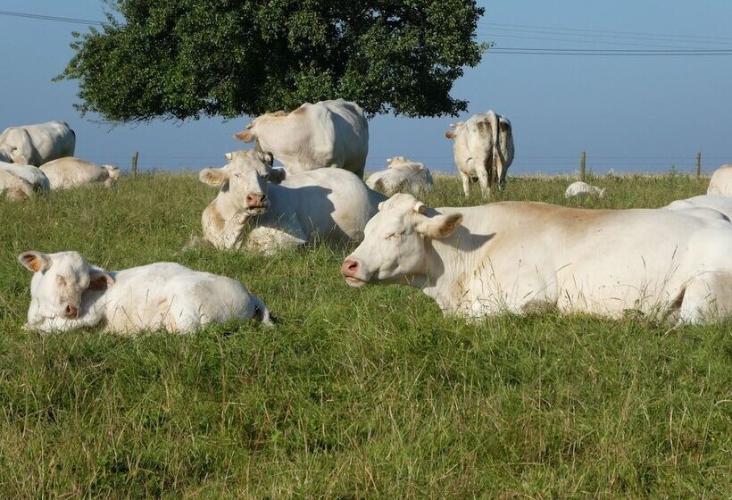 Пансион B&b L Etape Normande & Spa