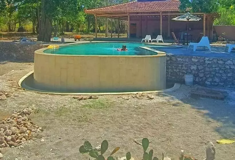 ペンション Maleo Moyo Seaside Resort