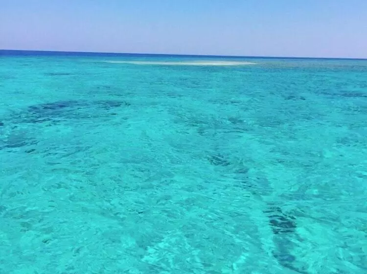 ペンション Maleo Moyo Seaside Resort