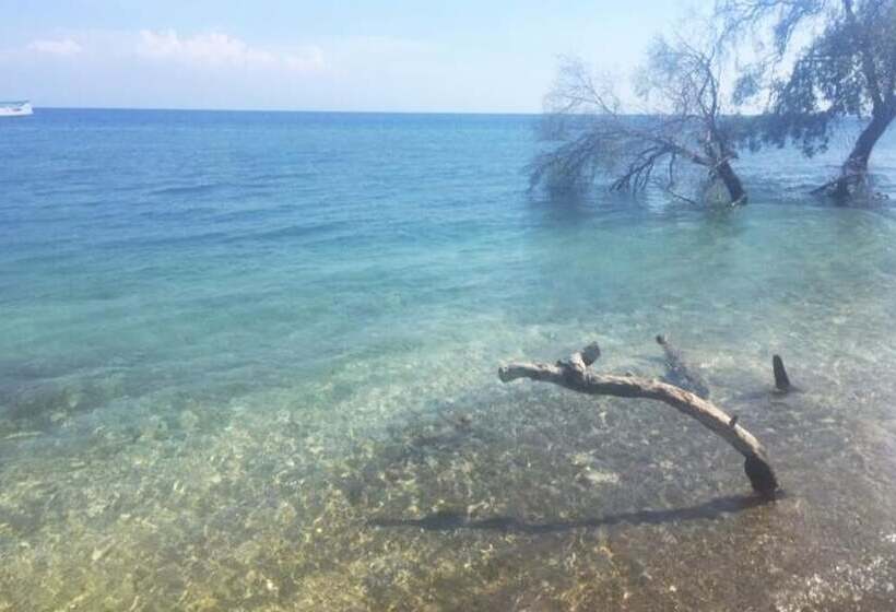 ペンション Maleo Moyo Seaside Resort