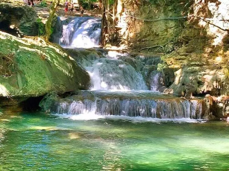 ペンション Maleo Moyo Seaside Resort