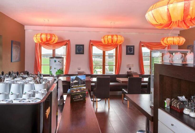 بنسيون Penzion Blanský Les