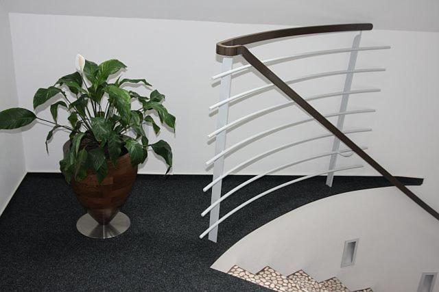 بنسيون Penzion Blanský Les